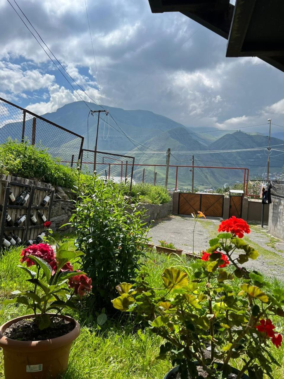 Guesthouse Relax In Kazbegi المظهر الخارجي الصورة