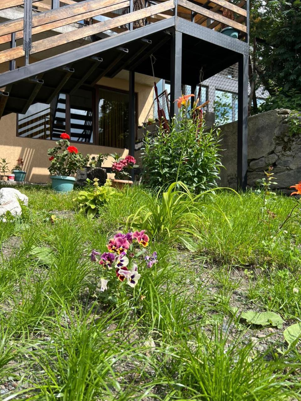 Guesthouse Relax In Kazbegi المظهر الخارجي الصورة
